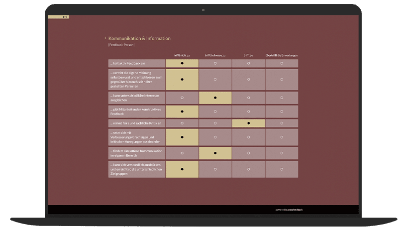 360 Grad Feedback Umfrage-Vorlage