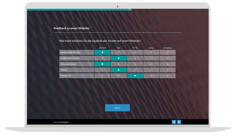 Website Usability Umfrage-Vorlage