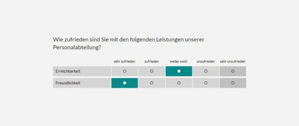 einsatz-likert-skala