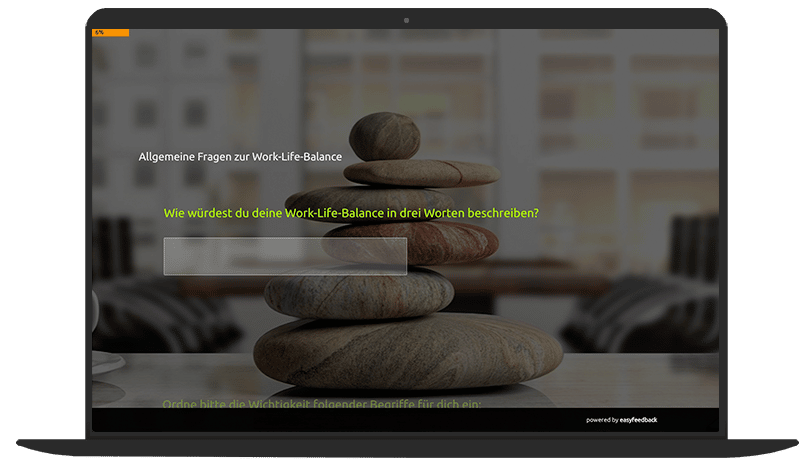 Umfrage Vorlage Work Life Balance