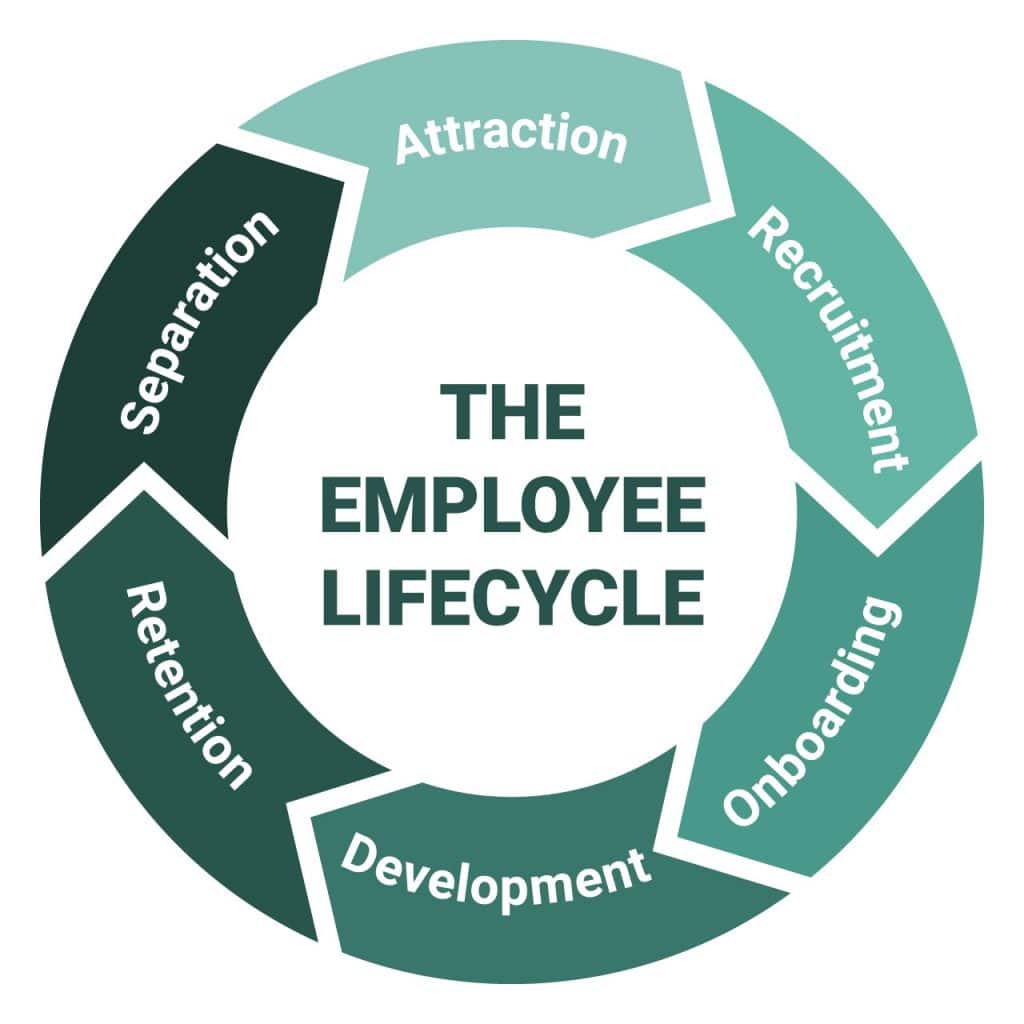 The Employee Lifecycle