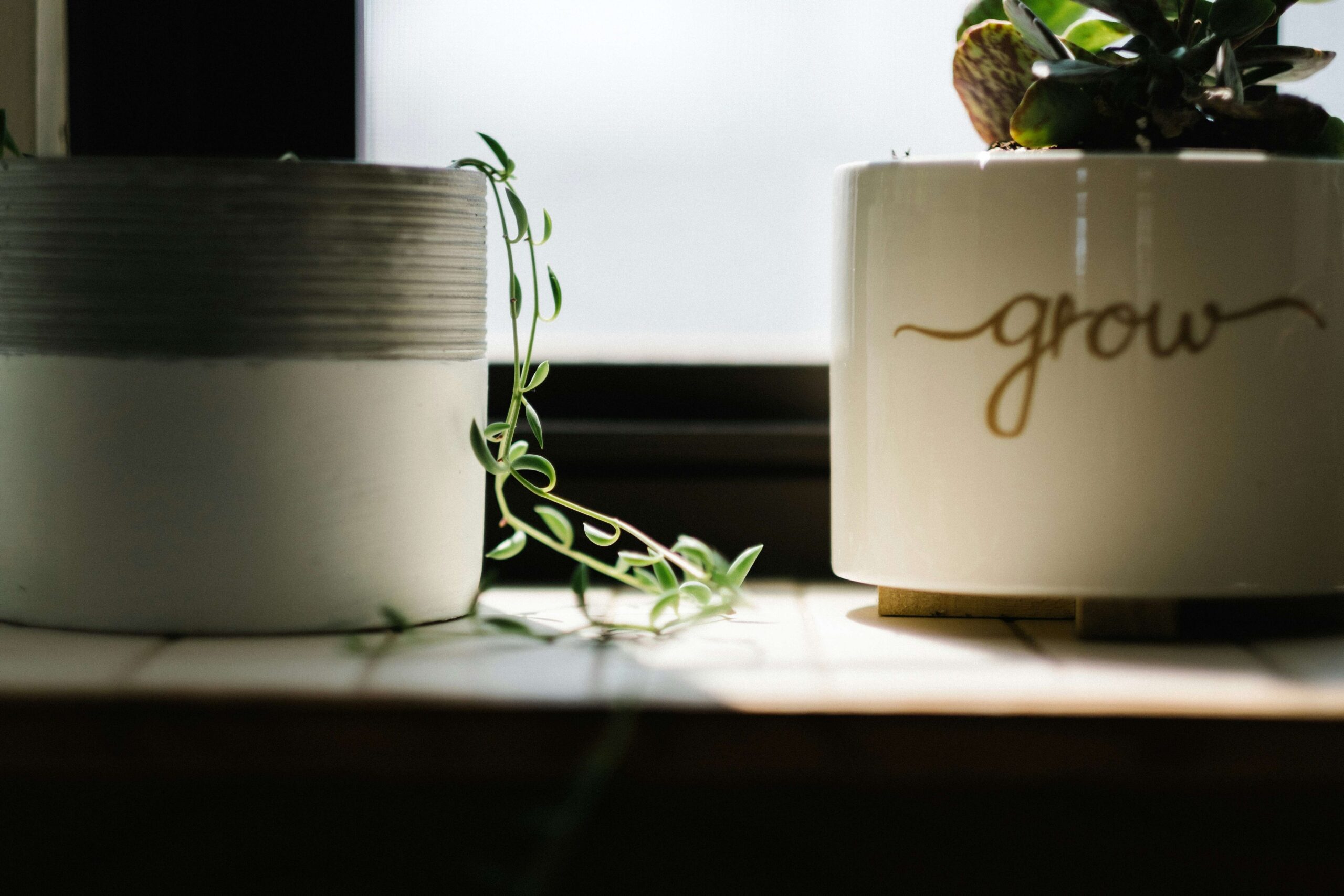 Growth Hacking Prozess Der Weg zu schnellem Wachstum